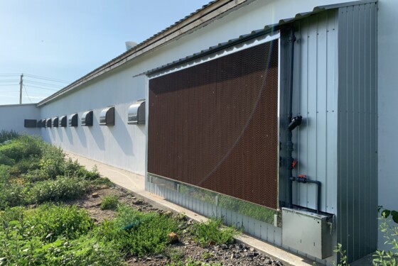 Охолодження PAD Cooling